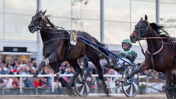 Startforbud etter seier