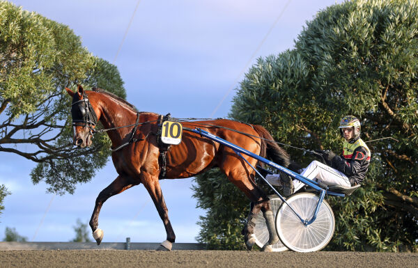 Overlegen solomann