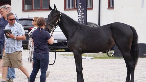 Solgte for 4.725.000 - kjøpte for 1.150.000