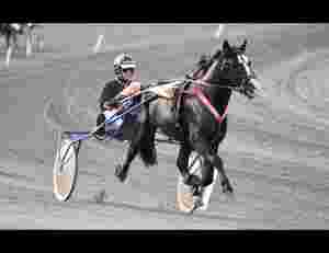 Toåring travet 1.29