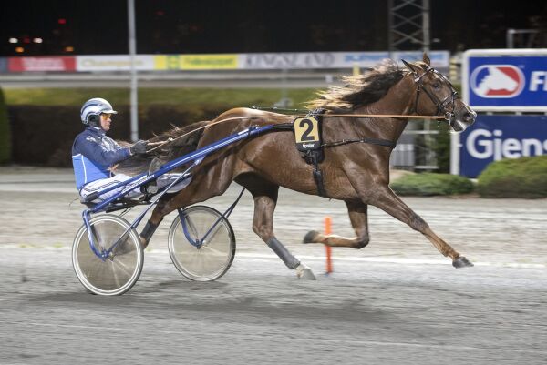 Montedronning, årsbeste og Speedy Norwegian.