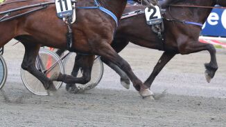 Hoppeserie og nytt divisjonssystem