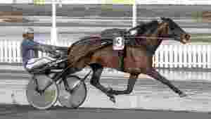 Sikter mot elitloppshelgen