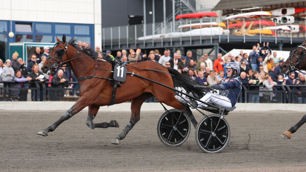 Har samlet opp 45 millioner