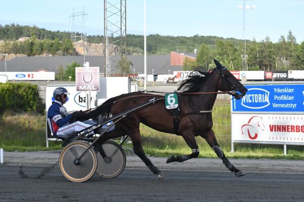 Glamour Tilly T.E. skinte i parodiløp