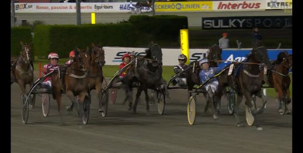 Norsk hest til dopdømt trener