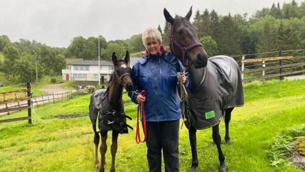 Rigger for fest i nord
