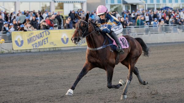 Kjøpte bedekning - topphester ble ropt tilbake