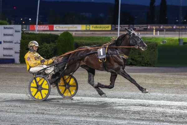 Bore Mikkel forlater Tjomsland