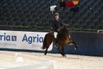 Sweden International Horse Show