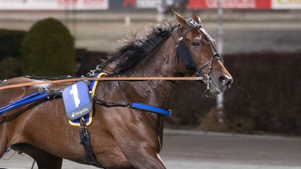 - Hadde alt spart
