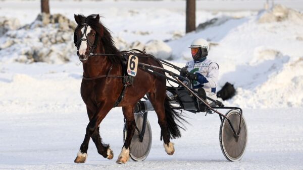 Slo og fikk ny trener
