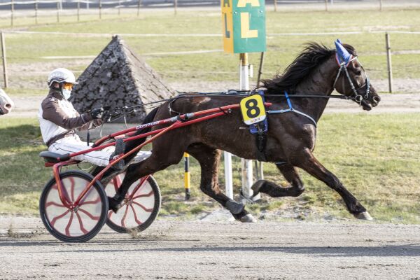 - En litt spesiell type