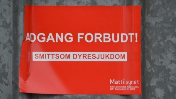 Du skal få raskere svar