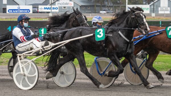Toppet utstillingen
