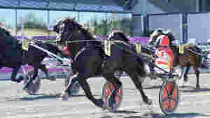 Odd Herakles legger opp