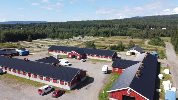 Leverer blodrøde tall