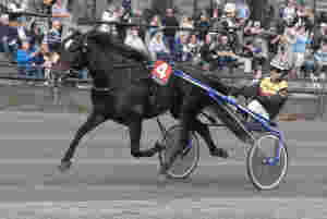 - Neppe flytting av klasseløp