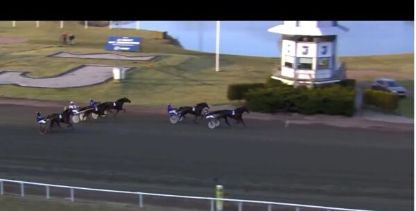 Er den en ny topphingst