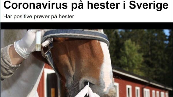 De mest leste sakene i januar