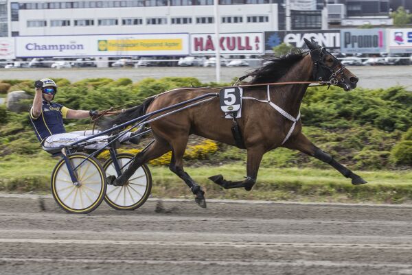 Flott av Floris, skylder over 20 millioner og Svanstedt til Elitloppet likevel