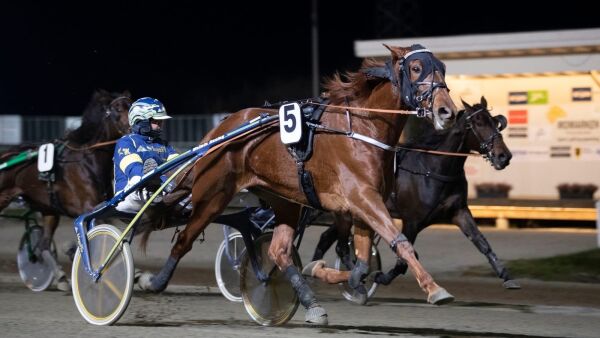 Topphoppe legger opp
