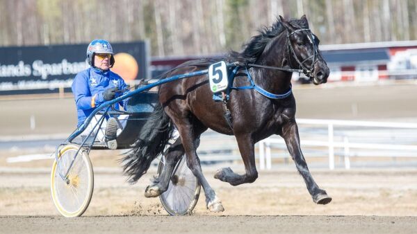 Flott driv over Lannem Siljes toåring