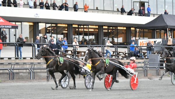 Grisle Odin G.L. til topps tross stor startgalopp
