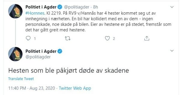 Hesten døde i påkjørsel