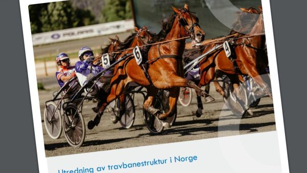 - De var klare på at de ikke går for salg før utredninger
