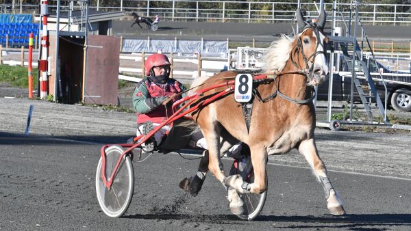 Gir seg som travtrener