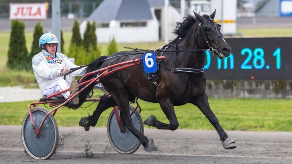 - En luring og en morsom skrue