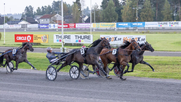 Galopp stoppet ikke 4-åringen