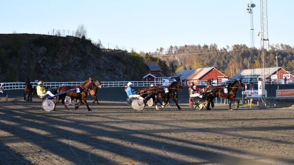 Åpner for trav i sør