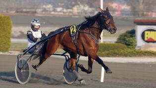Bjerke: En debutant tullet, en annen imponerte