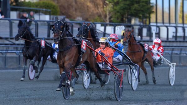 Nederlandsk i toppen