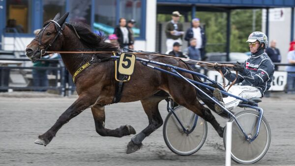 Nesten urørte i spillet. Står på vår samlebong.