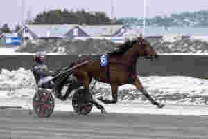 Karrierens første for topphoppas lillesøster