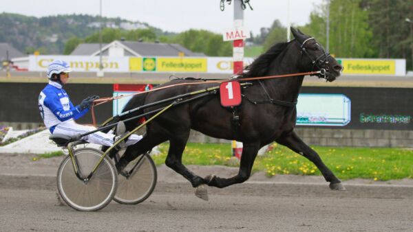 For de friske med godt hjerte