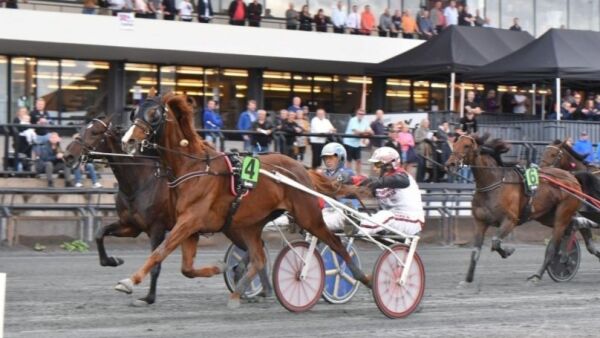 Omsetningen ned 12 prosent