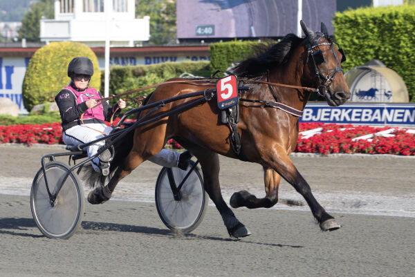 - Nyter fortsatt seieren