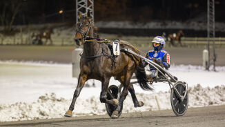 - Satt og koste meg