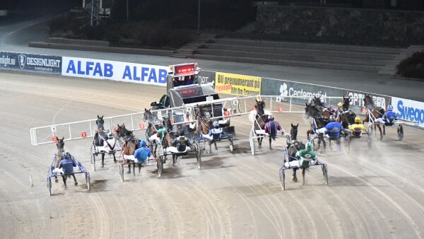 Antallet hester stuper