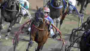 Walmanns stjerne best