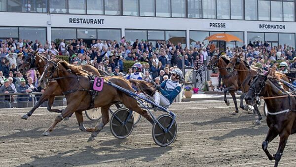 Derby-seier, nedsettende omtale og Westergaard handlet