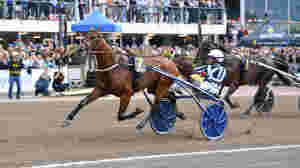 Elitloppsvinneren med ny seier