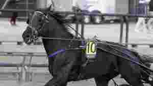 Helnorsk trippel