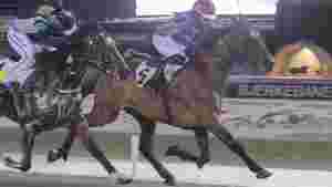 - Brist i hovbenet
