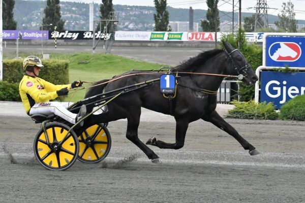 Tjomslandduo favoritter foran finalen