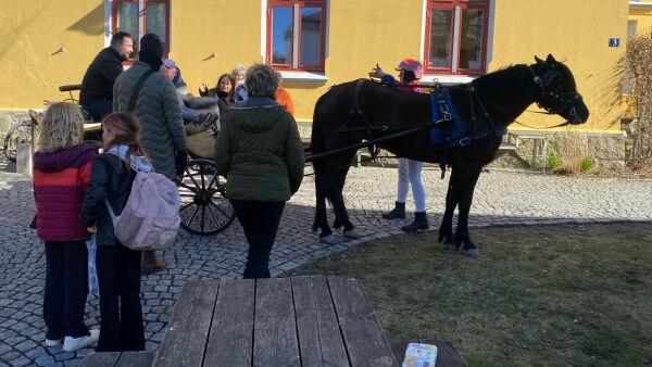 Slo et slag for den lokale travsporten